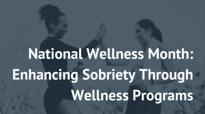 national wellness month wellness program sobriety alcohol therapist mclean arlington fairfax vienna virginia drug counselling